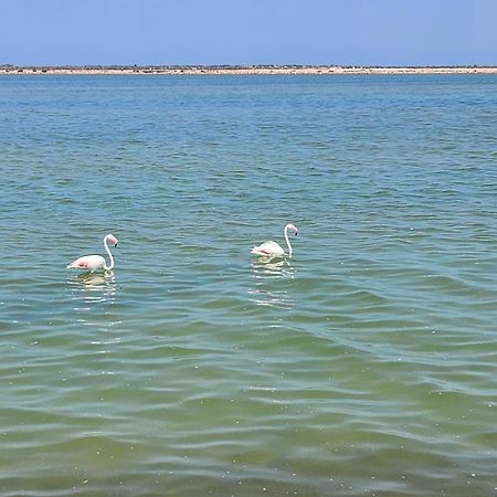 La Manga Del Mar Menor Los Miradores Block 1 5Th Floor G 무르시아 외부 사진
